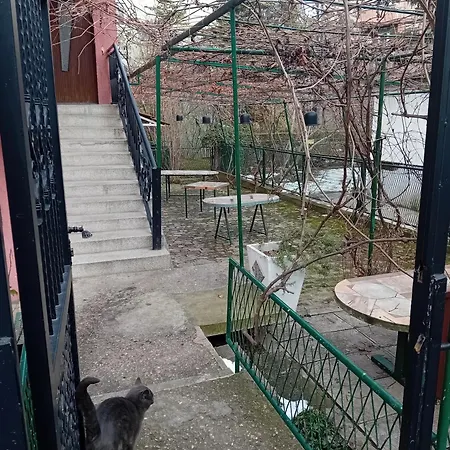 Apartment Secret Garden